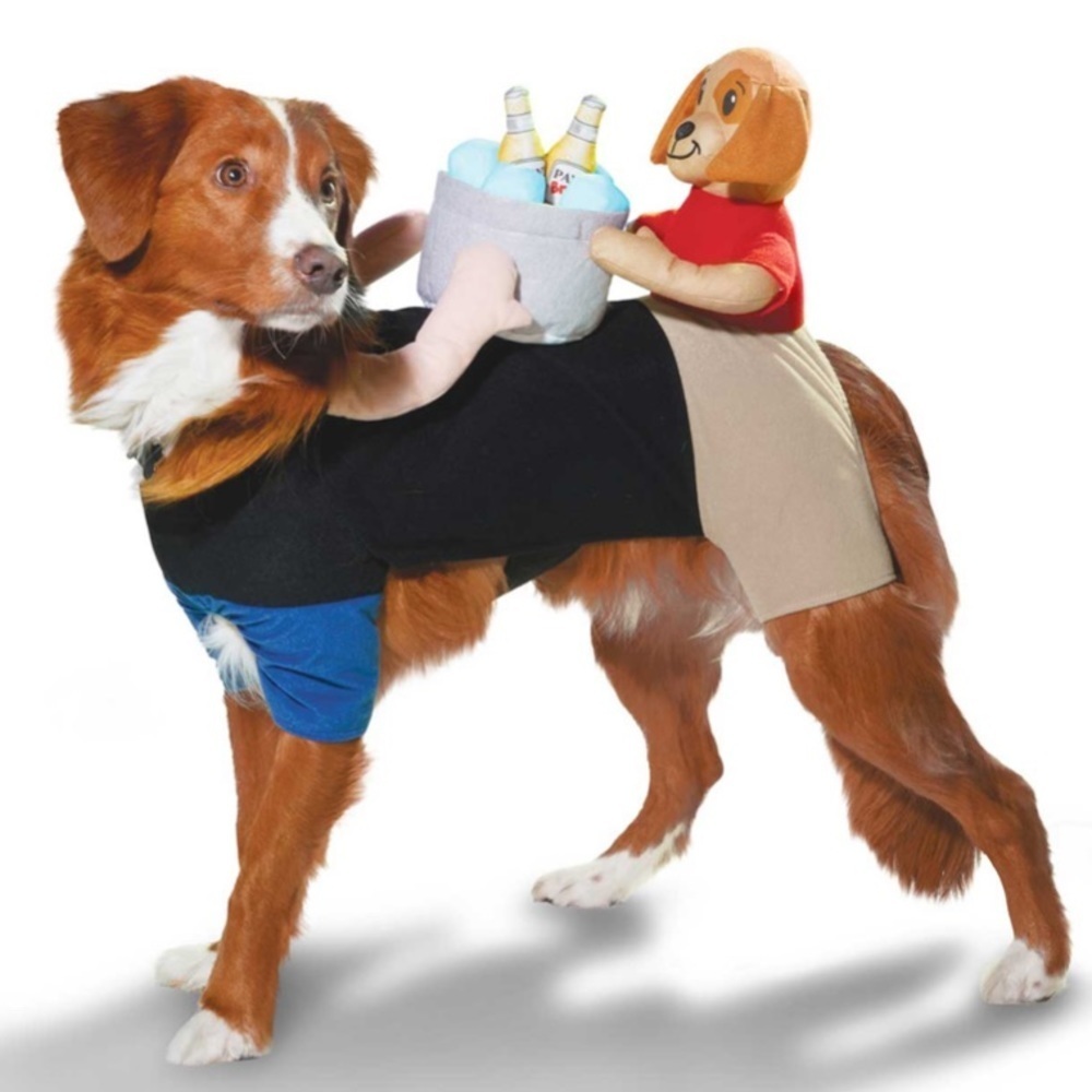 Bootique Cheers for Beers Halloween costume XS